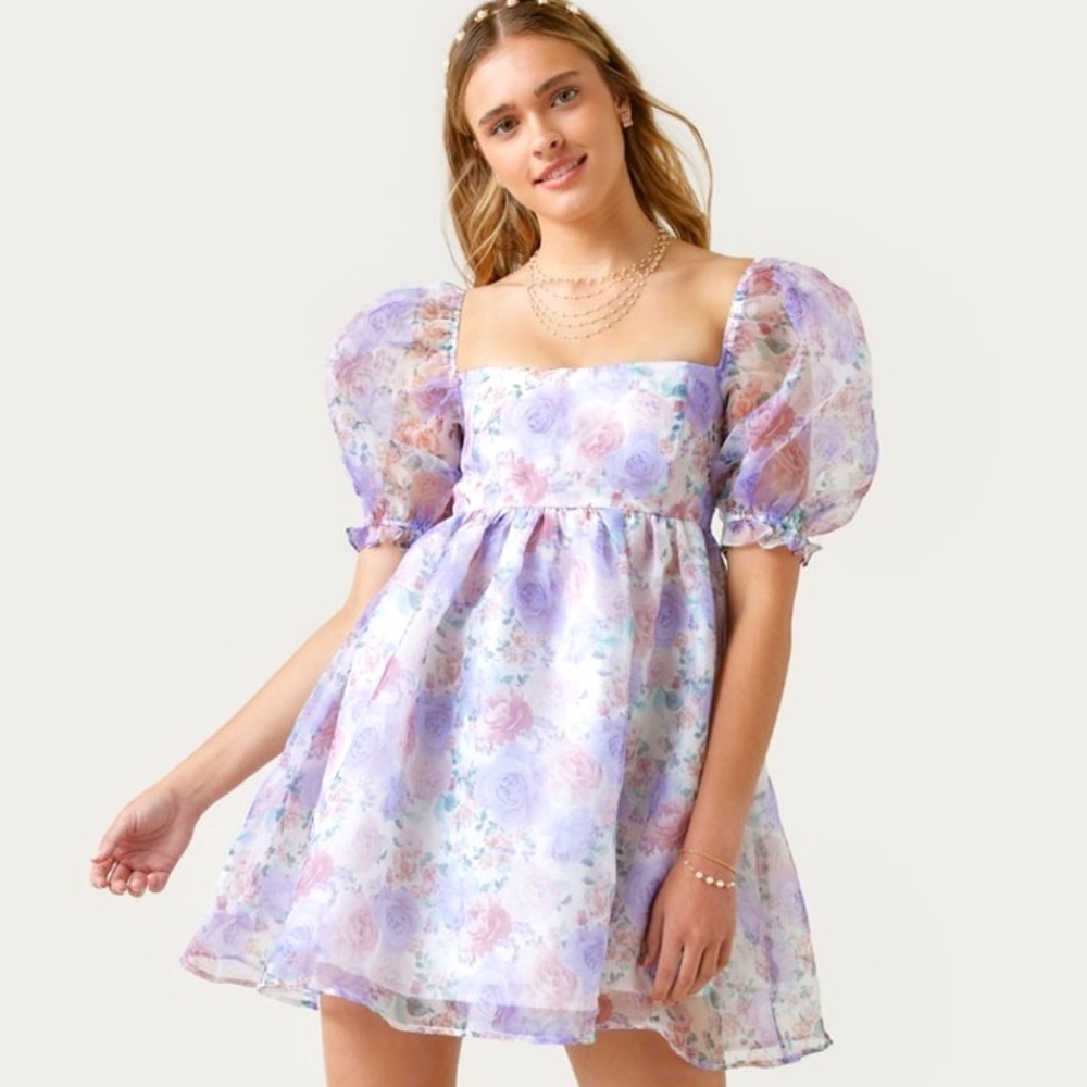 Francesca's Audrey Parks Floral Organza Puff Sleeve Mini Babydoll Dress